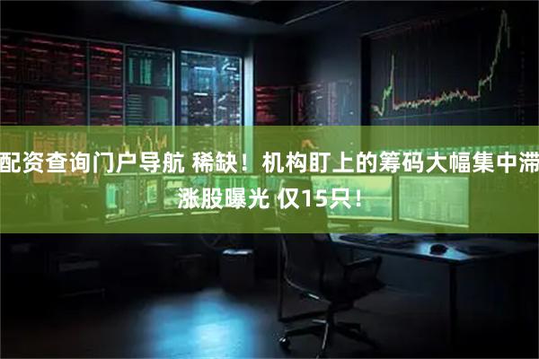 配资查询门户导航 稀缺！机构盯上的筹码大幅集中滞涨股曝光 仅15只！